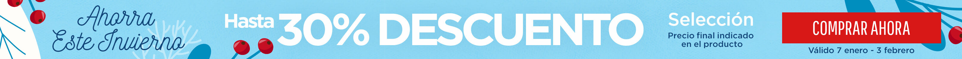 Winter Sale Skinny Banner South